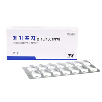 메가포지정10/160밀리그램