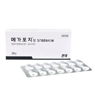 메가포지정5/160밀리그램